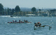 _DSCF0084003
